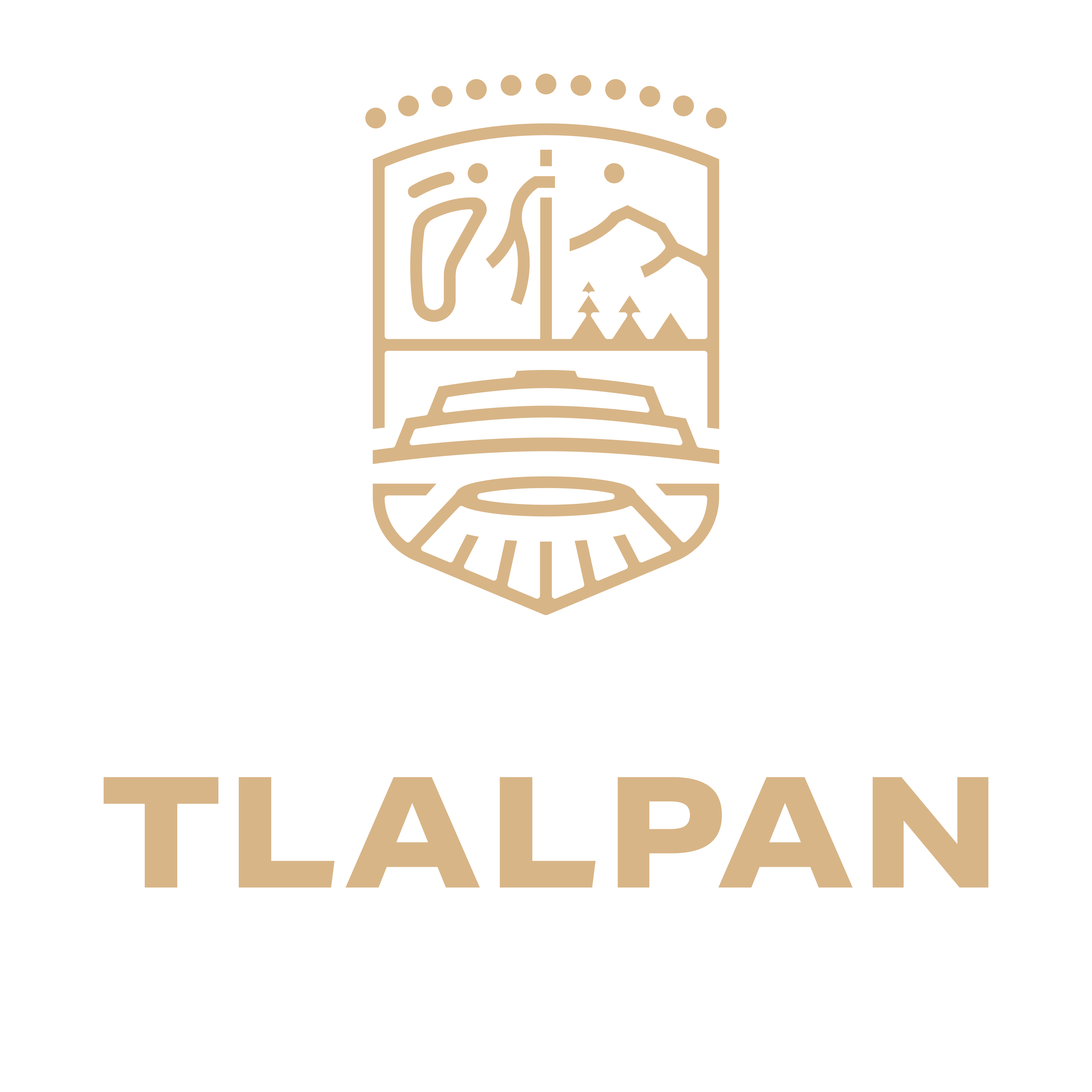 Logo Alcaldía Tlalpan